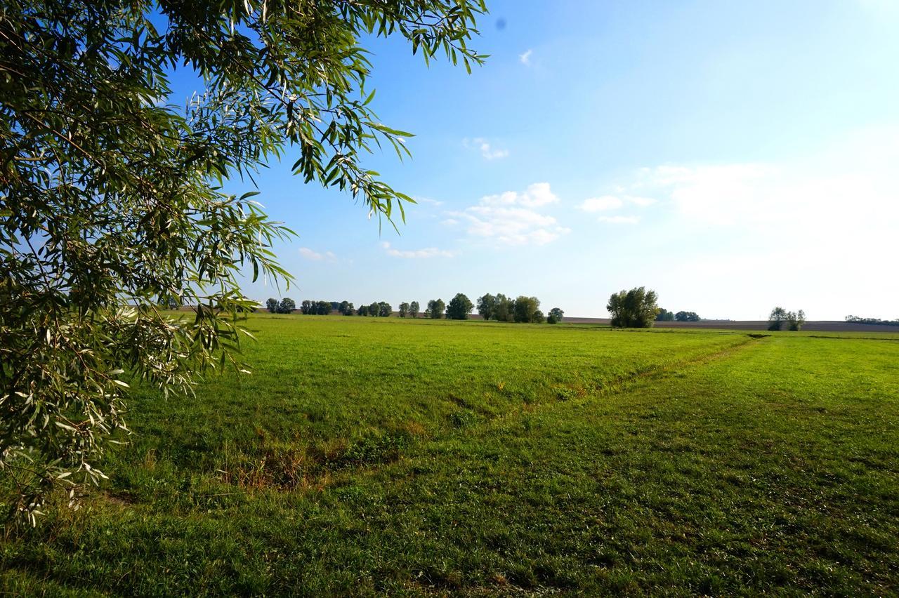 Gasthaus Zur Krone Windelsbach Kültér fotó